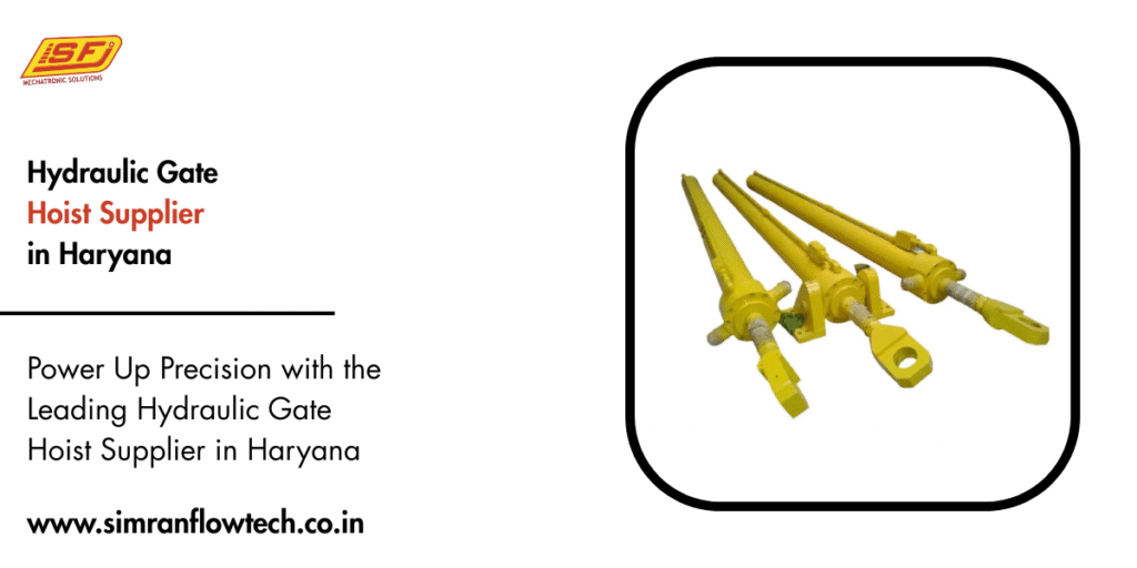 Hydraulic Gate Hoist Supplier in Haryana